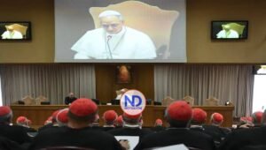 Papa León XIV ve importante el «cuidado amoroso de débiles»