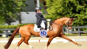 Jinete Stephanie Engstrom triunfa en Grand Prix de Ocala