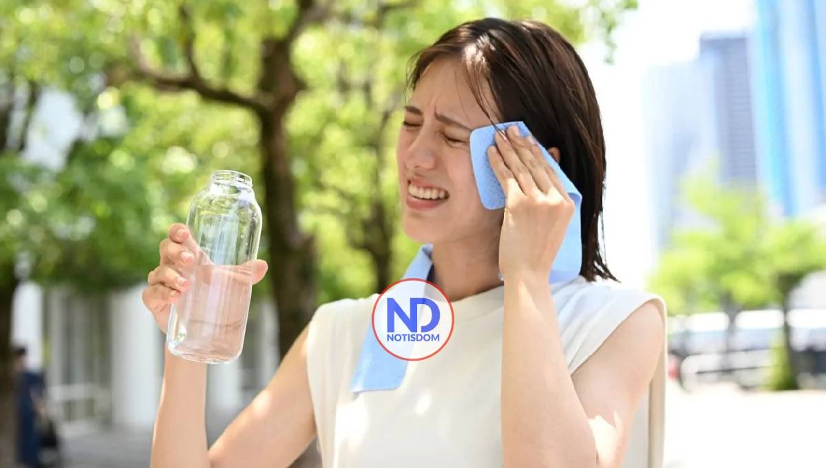 El arte de vivir con el calor: cómo enfriar tu casa sin gastar una fortuna