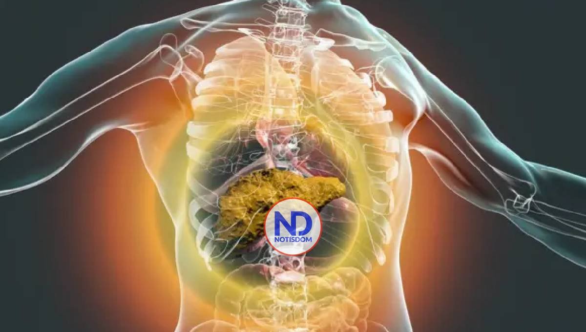 Un estudio vincula el consumo de alcohol con una mayor incidencia del cáncer de páncreas