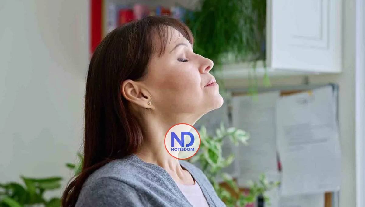 Aprende a manejar y controlar el estrés laboral