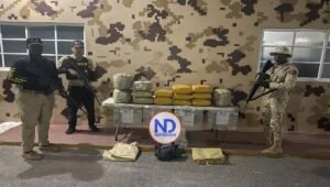 Decomisan 135 libras de un vegetal que se presume es marihuana