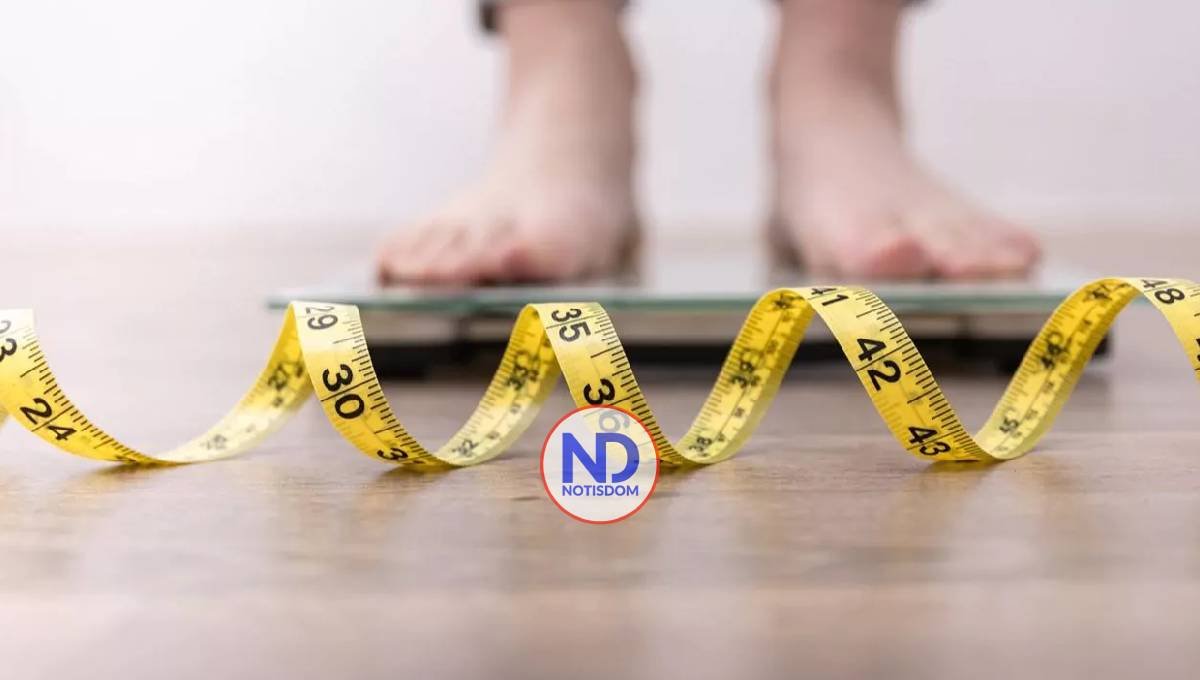 ¿Qué es la grasa parda? El tejido que quema calorías y protege tu metabolismo 2 ¿Qué es la grasa parda? El tejido que quema calorías y protege tu metabolismo