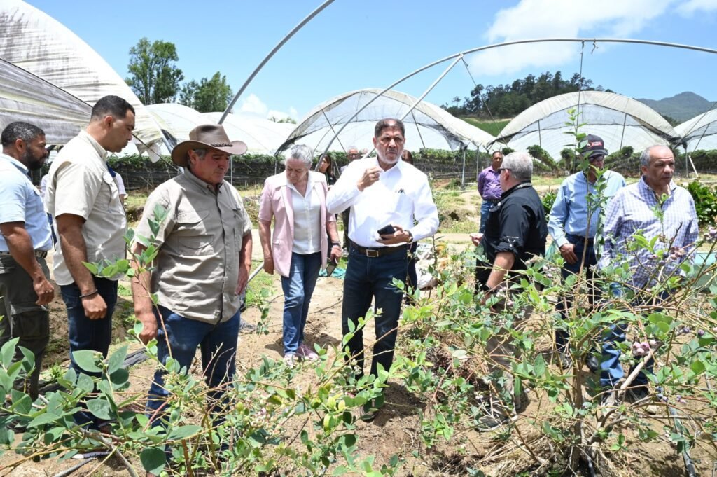 LIMBER CRUZ 30 Ministro Limber Cruz formaliza inicio siembra de frutas en Constanza