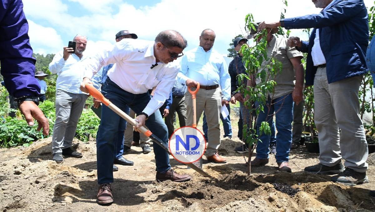 Ministro Limber Cruz formaliza inicio siembra de frutas en Constanza