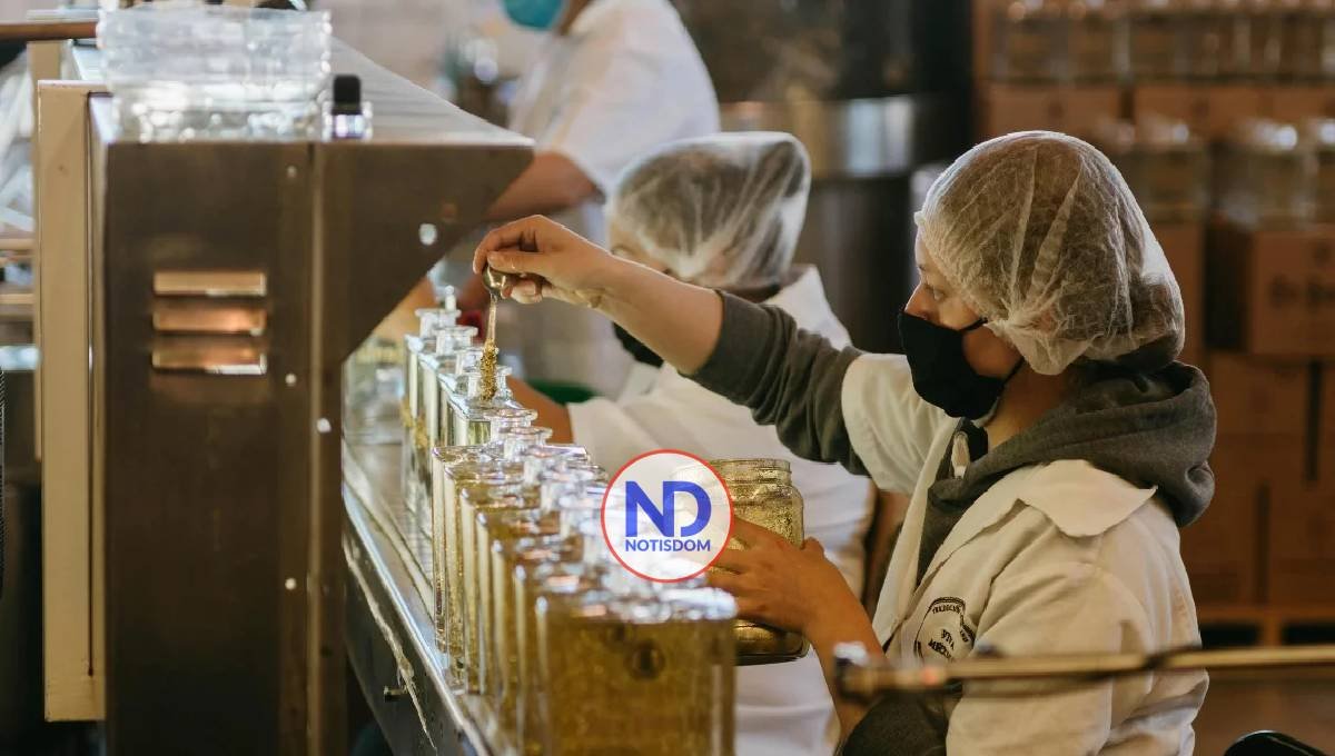 Las pequeñas empresas no planifican; el riesgo de la intuición