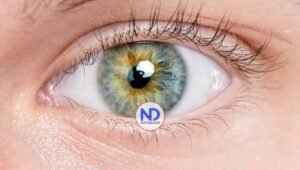 Hong Kong emplea la IA para predecir el riesgo de alzhéimer a través de las retinas