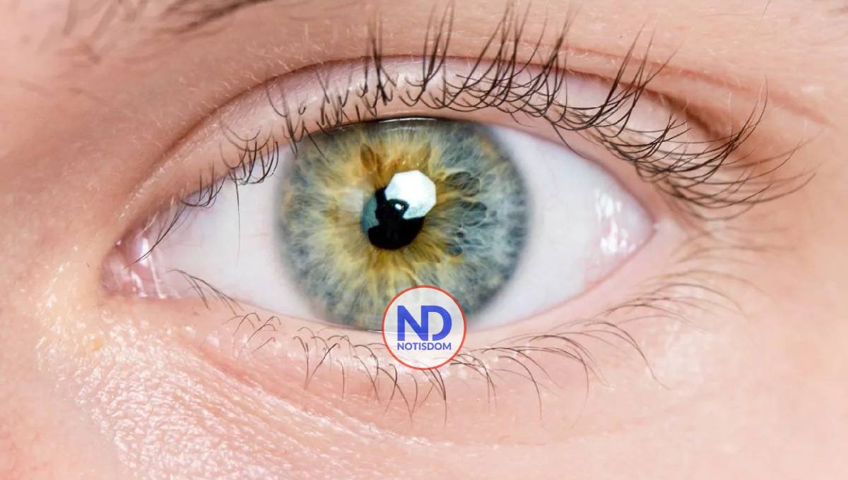 Hong Kong emplea la IA para predecir el riesgo de alzhéimer a través de las retinas