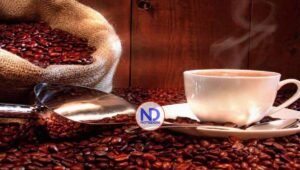 Gobierno dice rompe récords exportaciones café dominicano