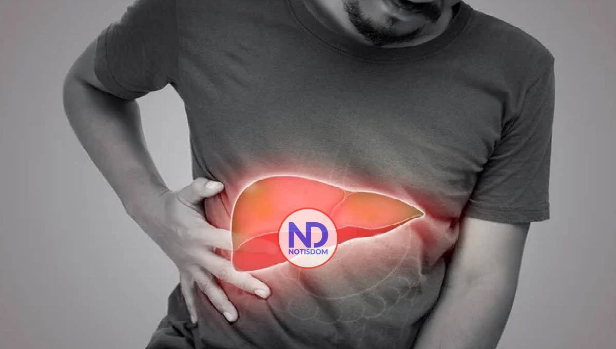 La gastritis, úlceras y hepatitis destacan como motivos frecuentes de consulta gastroenterológica 2 La gastritis, úlceras y hepatitis destacan como motivos frecuentes de consulta gastroenterológica