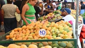 Las exportaciones de mango superan los 50 millones de dólares al año