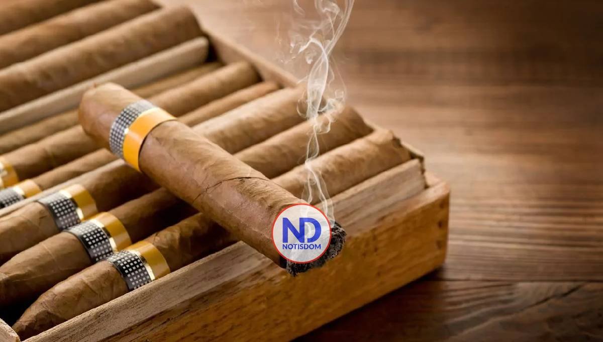 OMS pide urgentemente a los gobiernos prohibir sabores en productos de tabaco y nicotina