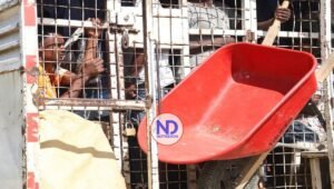 AI vuelve a pedir Gobierno RD poner fin «migración racista»