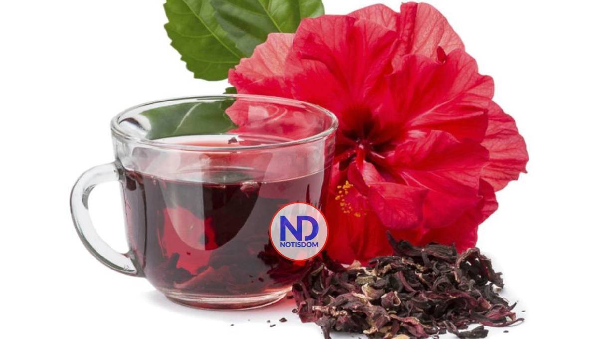 La flor de Jamaica o Cayena: una joya nutricional poco aprovechada en RD