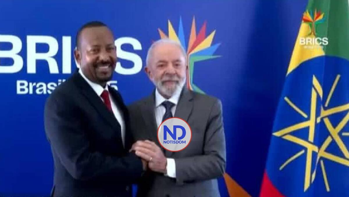 BRICS manifiestan inquietud por políticas «unilaterales» 2 BRICS manifiestan inquietud por políticas «unilaterales»