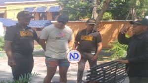 Fueron dos los perros que un hombre lanzó desde un piso 11