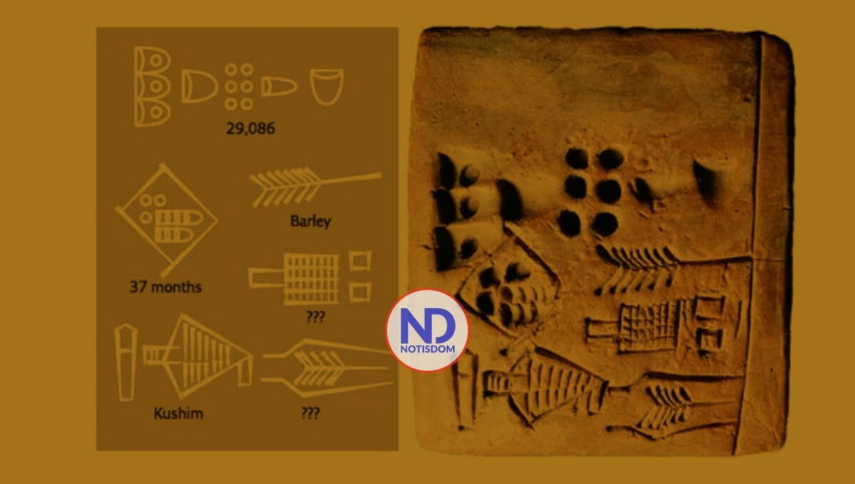 Kushim: el primer nombre humano fue escrito en una factura de cerveza, no en un trono