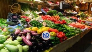 Créditos agropecuarios superan los RD$127 mil millones en el 2024