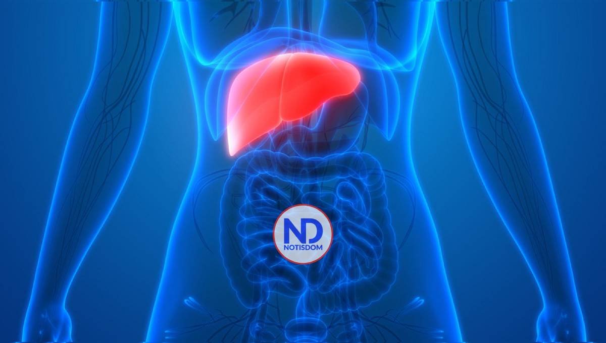 Científica mexicana alerta de hongos que provocan hasta 30 % de casos de cáncer de hígado