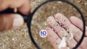 Descubren microplásticos en fluidos reproductivos humanos