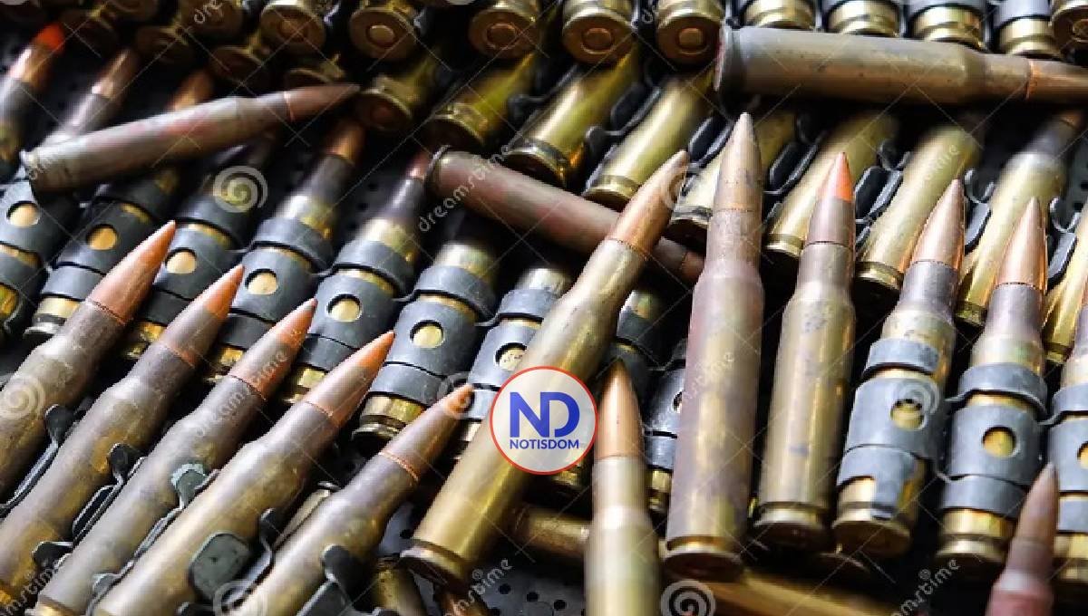 Más de ocho mil municiones ingresaron a la RD desde EEUU