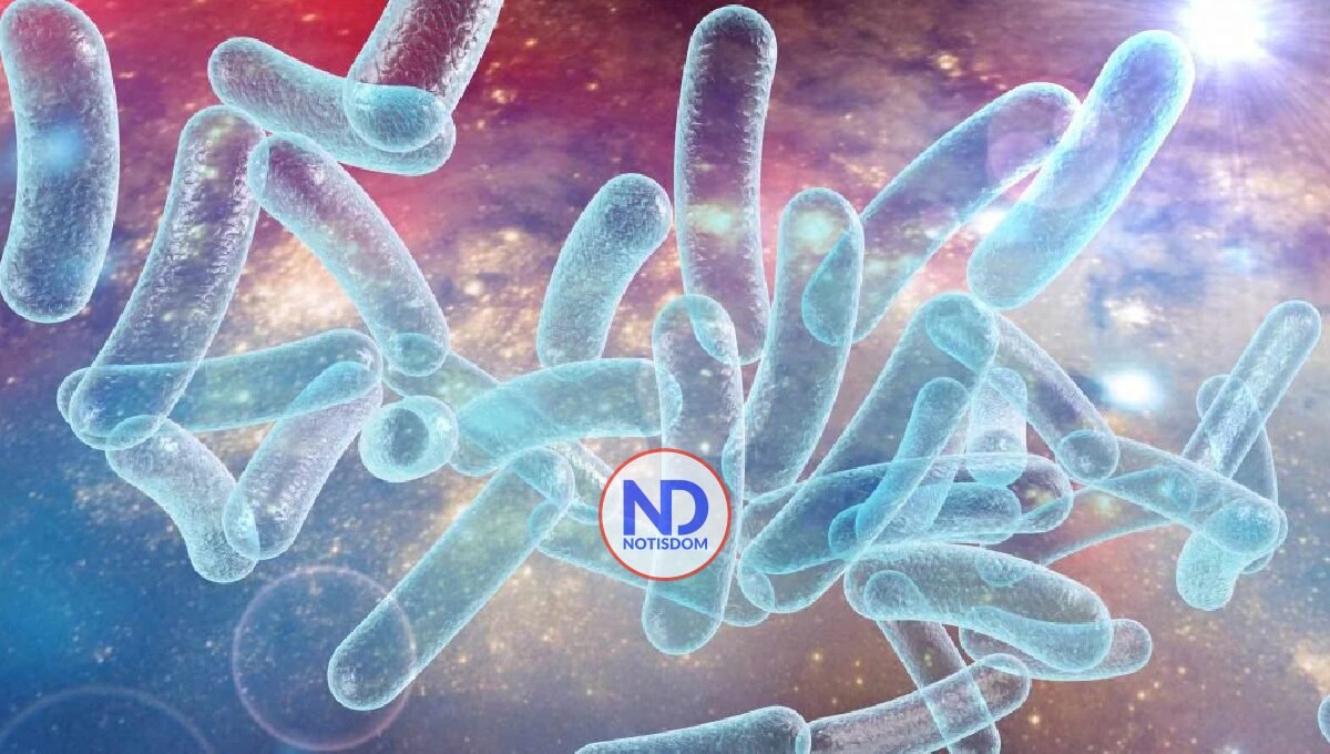 Alarma en Harlem: Brote de enfermedad del legionario lleva 3 muertos y más de 60 enfermos 2 Alarma en Harlem: Brote de enfermedad del legionario lleva 3 muertos y más de 60 enfermos