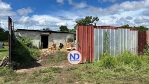 Desmantelan en La Guáyiga laboratorio con 1.8 millones de pastillas falsas y maquinaria de alta gama