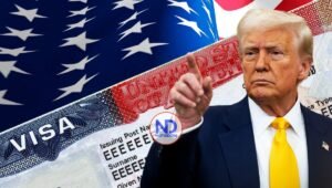 Gobierno de Trump revisará 55 millones de visas y suspende permisos laborales