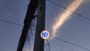 Video | Edesur denuncia atentado: incendio provocado deja sin luz a más de 20 comunidades