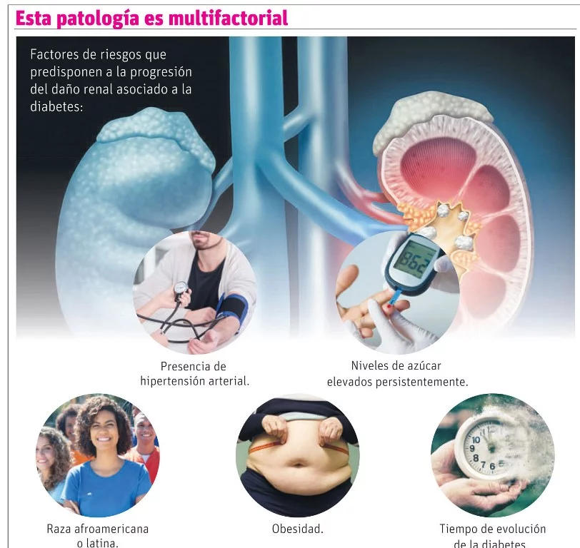 RINONES1 Enfermedad renal diabética; ¿qué es y cómo prevenirla?