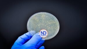 Más del 70% de genes de resistencia a antibióticos están en la cadena alimentaria