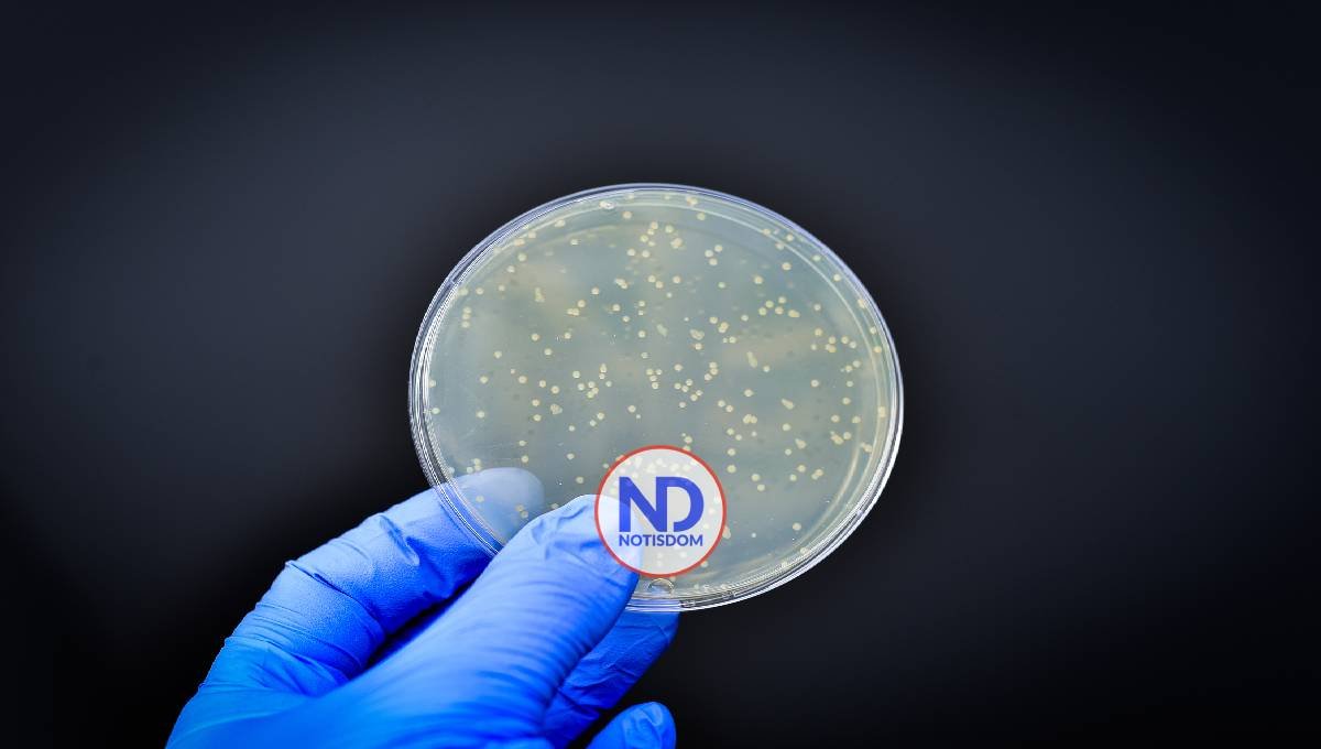 Más del 70% de genes de resistencia a antibióticos están en la cadena alimentaria