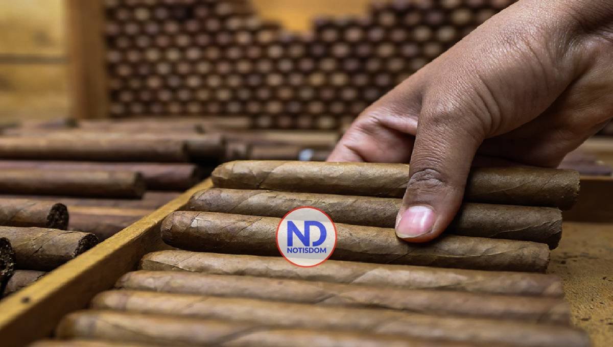 Tiene cifra récord exportación de tabaco de RD 2 Tiene cifra récord exportación de tabaco de RD