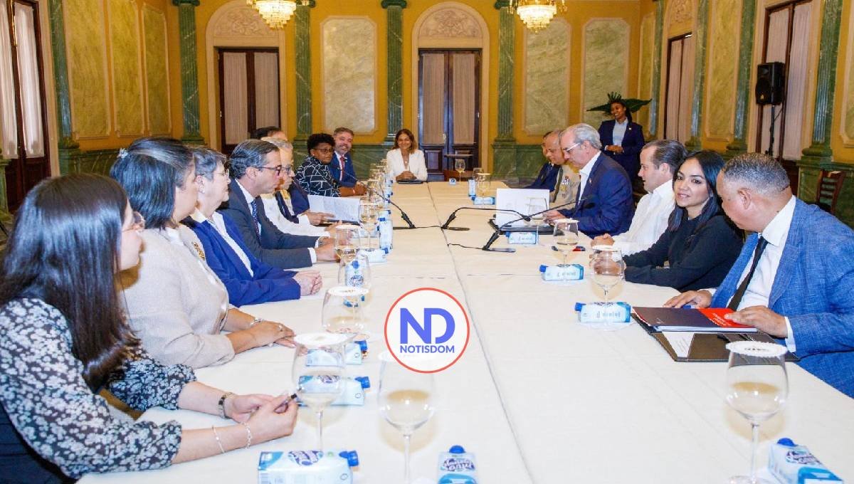 CES entrega Abinader informe situación Haití y efectos en RD