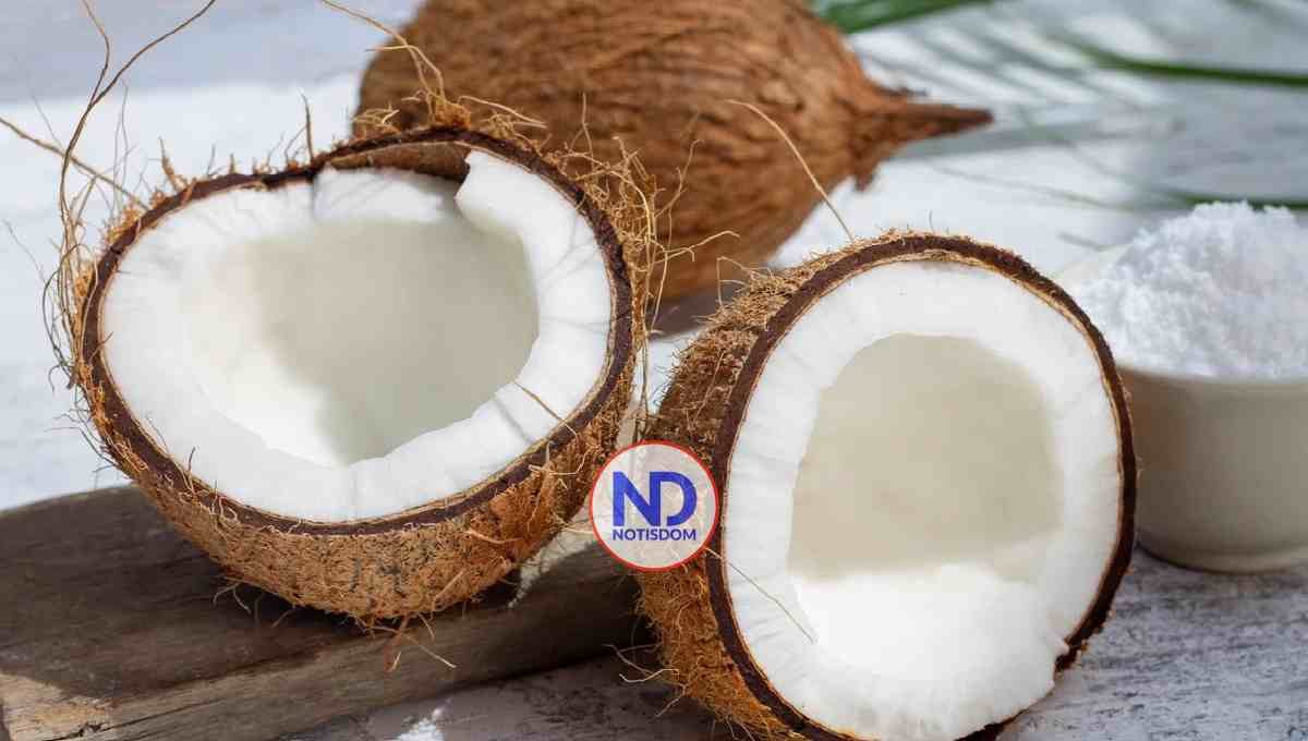 El coco: un superalimento que aporta energía y salud natural
