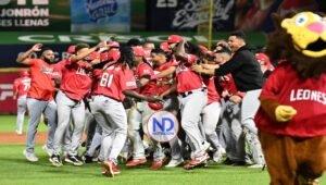 Leones irán a México a juegos pretemporada contra Charros