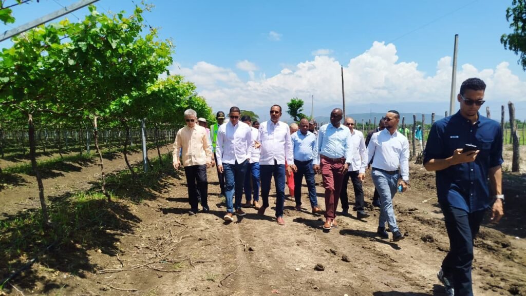 Chen Luning Y OTROS 1 1 Embajador chino elogia proyecto de uvas de la UFHEC en San Juan