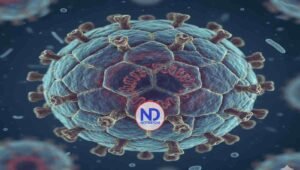 Rol de los hombres en lucha contra el VPH es crucial para la prevención, según expertos