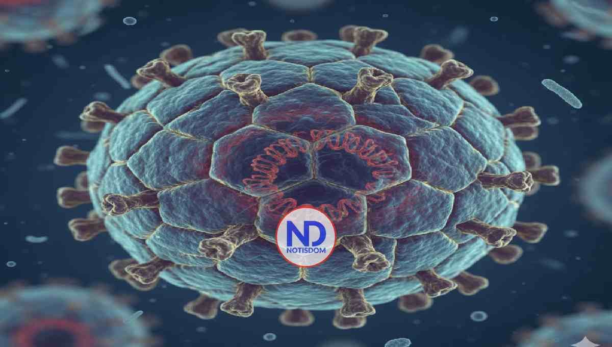 Rol de los hombres en lucha contra el VPH es crucial para la prevención, según expertos