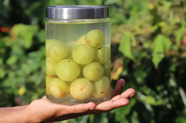 grosella india 7 frutas que contienen más vitamina C que las naranjas