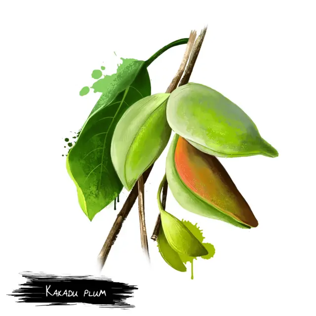 kakadu 1 7 frutas que contienen más vitamina C que las naranjas