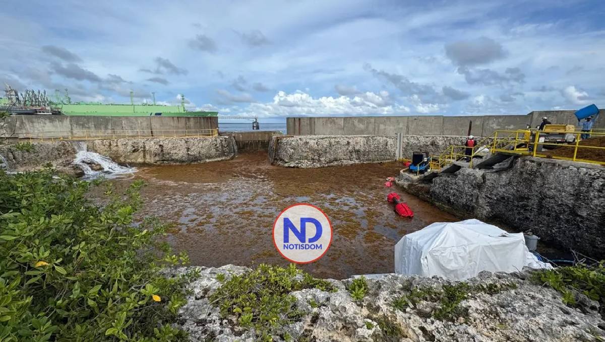 Planta AES Andrés sale de operación por presencia masiva de sargazo en Boca Chica