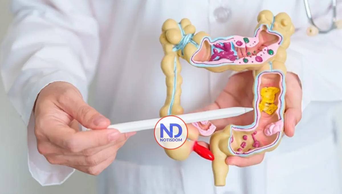 ¿Cómo produce popó tu cuerpo? 2 ¿Cómo produce popó tu cuerpo?