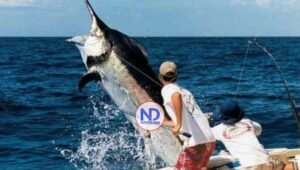 La ciudad destino celebrará Cap Cana Classic de pesca deportiva