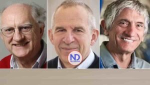 Nobel de Física 2025 a hallazgo relevante para tecnología digital