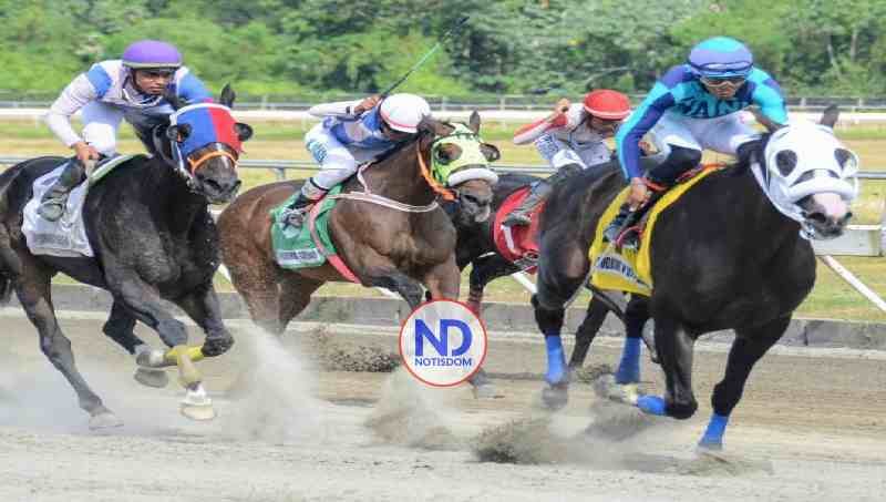 Posponen cartel hípico de este sábado por tormenta Melissa