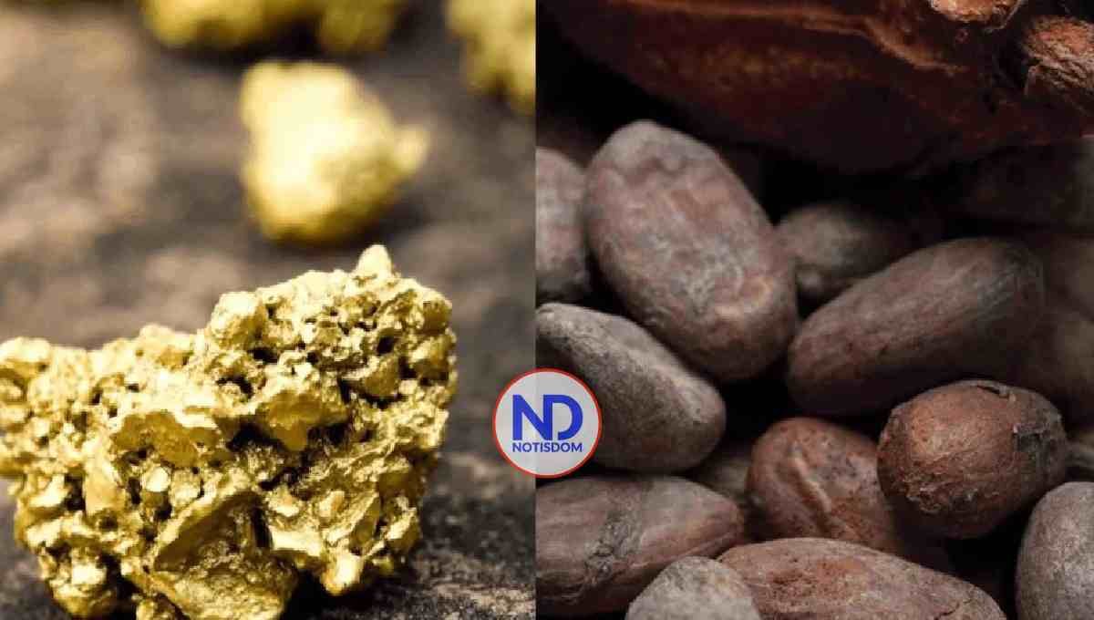 Conoce los productos dominicanos que dominan el mercado estadounidense 2 Conoce los productos dominicanos que dominan el mercado estadounidense