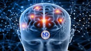 Nueva herramienta de IA ayuda a localizar lesiones en niños epilépticos