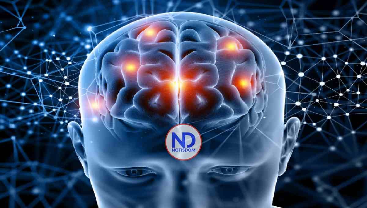 Nueva herramienta de IA ayuda a localizar lesiones en niños epilépticos