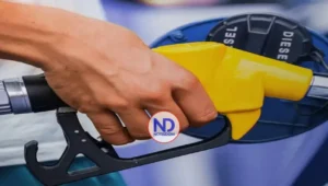 Gobierno congela otra vez los precios de los combustibles de mayor uso